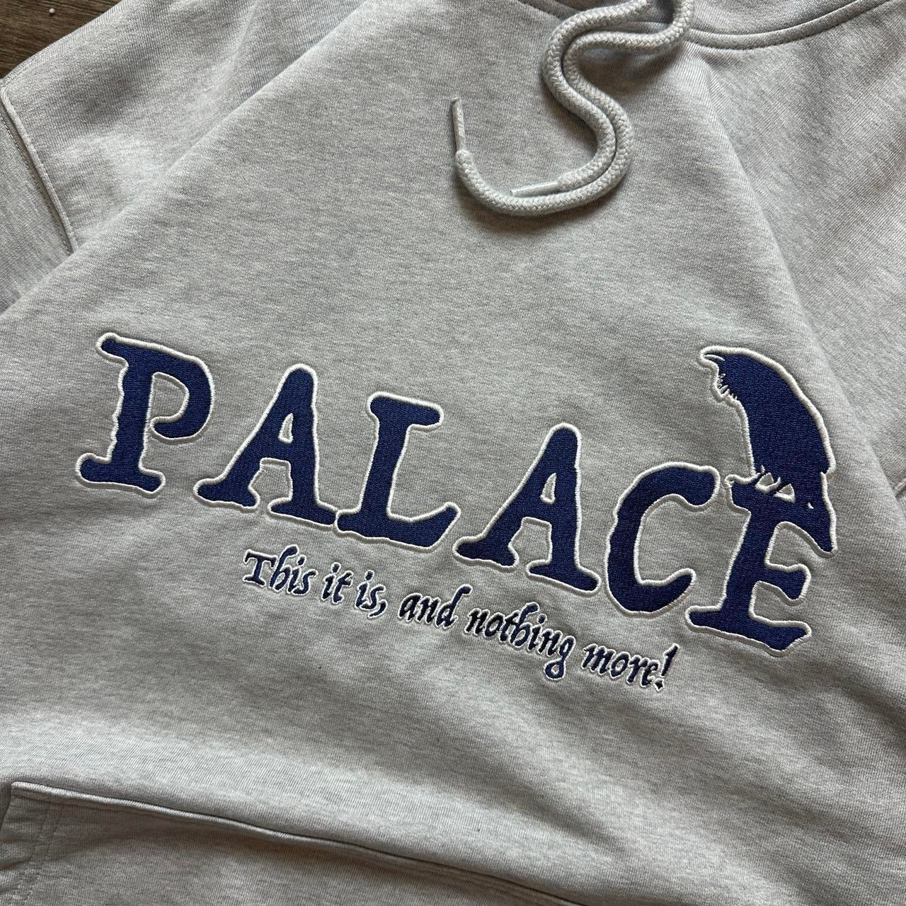 Palace Hoodie (L)